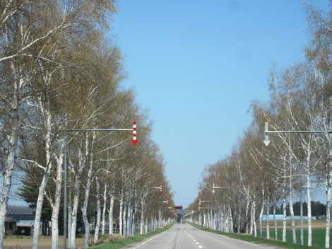 y 014.JPG