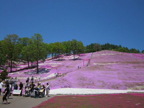 œ 003.jpg