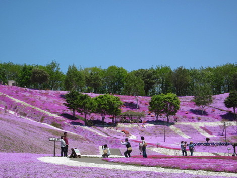 œ 004.jpg