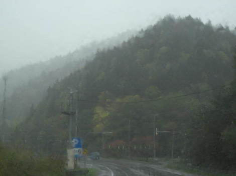 y 004.JPG