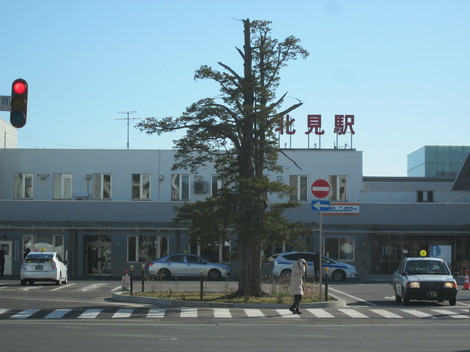 w琼 002.JPG