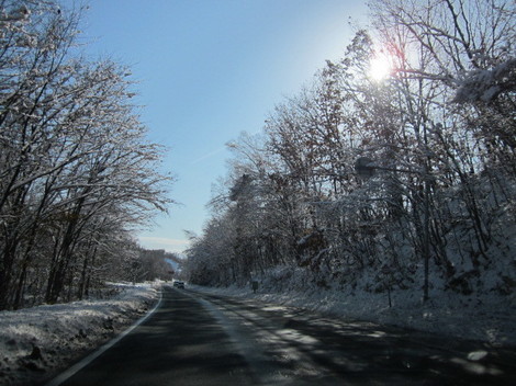 IMG_0228.JPG