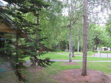 IMG_4330.JPG
