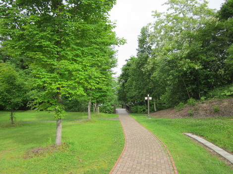 IMG_4339.JPG