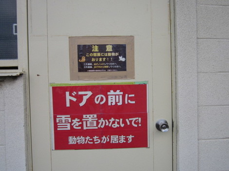 IMG_5876.JPG