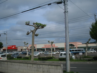 IMG_AKU4.JPG