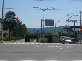 IMG_AOBA.JPG