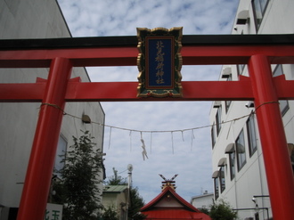 IMG_JI.JPG