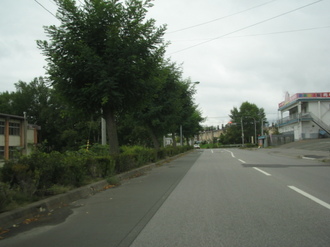IMG_MI.JPG