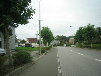 IMG_MIYA2.JPG