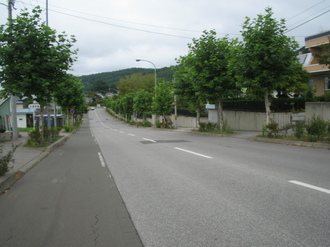 IMG_MIYAKO.JPG