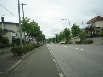 IMG_MIYAKO1.JPG