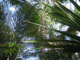 IMG_NAN2.JPG