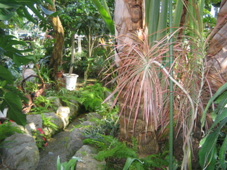 IMG_NANGO1.JPG