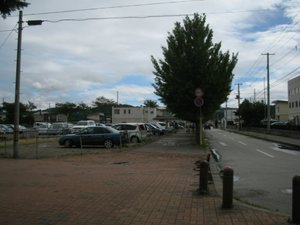 Img_0239.jpg