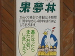 KARAKURI4.JPG