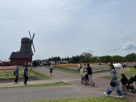S__16023583.jpg
