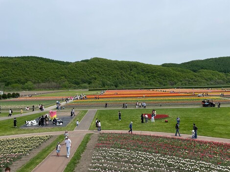 S__16023585.jpg
